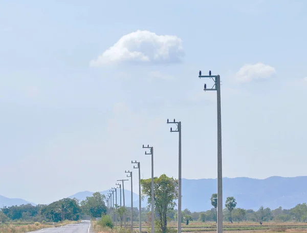Elektrik direklerini ve seramik yalıtıcıları kurun. Elektrik kablolarını bekleyin..
