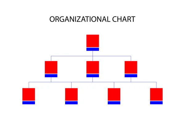 Organizational Chart Isolated White Background — Stock Vector