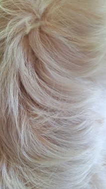 Close-up macro of soft cream fur hair texture creating a fluffy, cozy, and warm background.