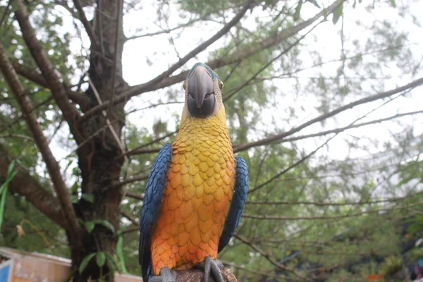 Vogelstatue Garten Papageienstatue — Stockfoto