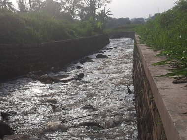 Sabahları nehir manzarası akar