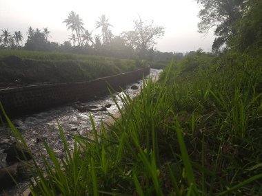 Sabahları nehir manzarası akar