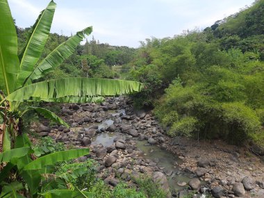 Yeşil ağaçların arasında taşlı bir nehir. Dağlarda nehir taştan nehir kıyıları arasında akıyor..