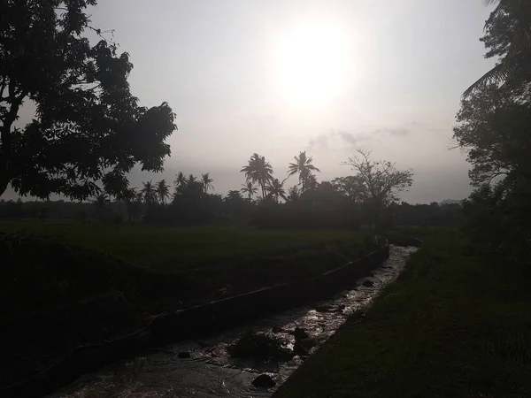 早上的溪流景观 — 图库照片