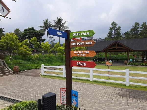 Houten Routebeschrijving Bord Het Park Houten Paal Met Gekleurde Richtingaanwijzers — Stockfoto