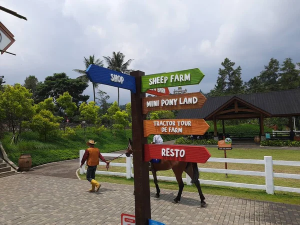 公園に木製の標識があります 方向標識の色を持つ木製のポスト — ストック写真