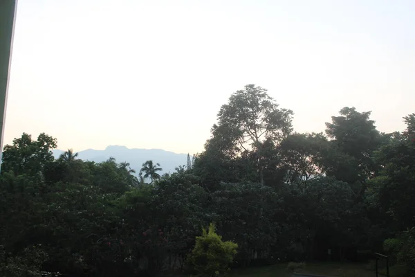 早上在山上 早上的绿色植物 — 图库照片