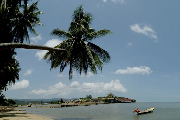 Longtail łodzi i Kokosowe drzewo w pobliżu Wielkiego Buddy, Koh Samui, Tajlandia — Zdjęcie stockowe