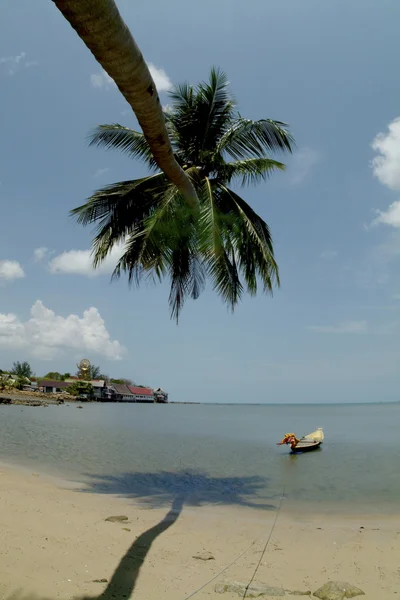 Longtail barca e palma vicino al grande Buddha, isola di Koh Samui . — Foto Stock