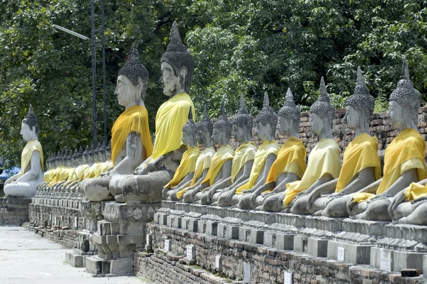 Statues de Bouddha à Ayutthaya, Thaïlande  . — Photo