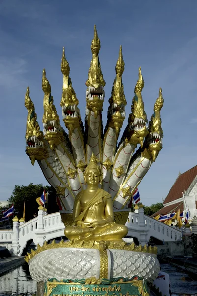 Boeddha zitten op zeven koppen van de slang. — Stockfoto