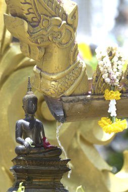 Buda banyo Tayland Budist insanlardan.