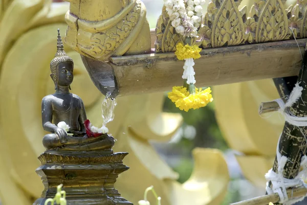 Будда Бат от буддистов Таиланда . — стоковое фото