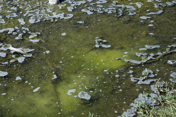 Agua infectada en la industria . — Foto de Stock