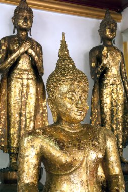 Buda Wat Naphameru tapınak Tayland Ayutthaya tarihi Park.