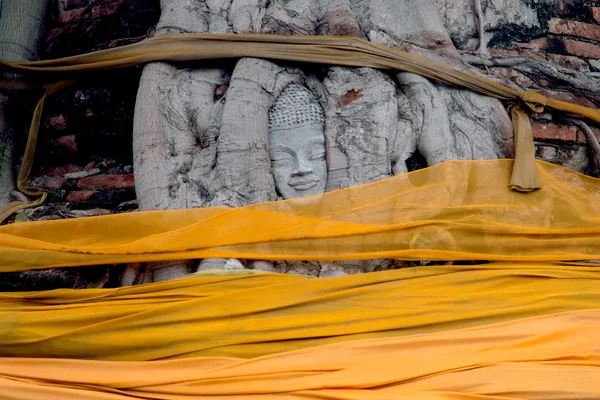 Древняя голова Будды на большом дереве в храме . — стоковое фото
