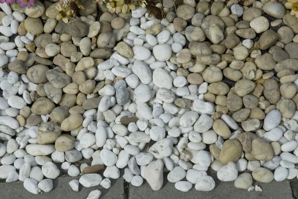 Stein Textur auf dem Boden. — Stockfoto