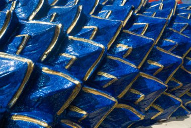 Mavi yılan doku ölçeğini.