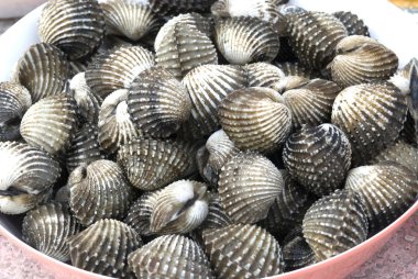 Deniz kabuğu yemek için.