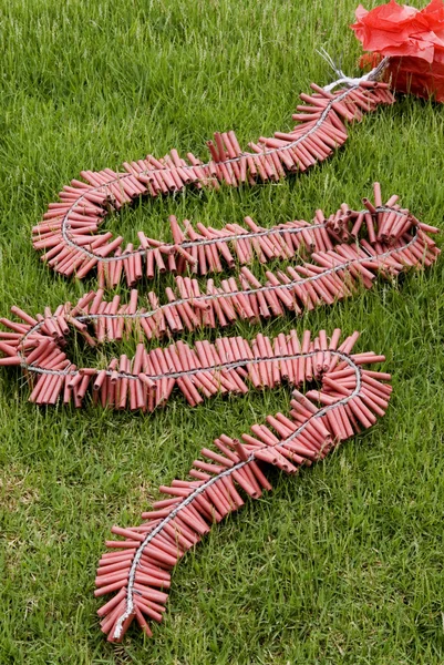 Firecrackers placed on the lawn to a waiting point. — Stock Photo, Image