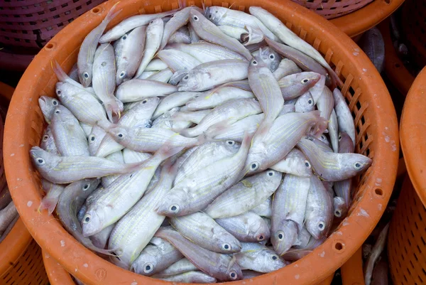 Pești în coș pe piață . — Fotografie, imagine de stoc