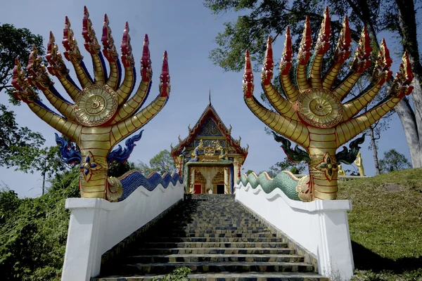 Slangen bij trappen naar de Thaise kerk. — Stockfoto