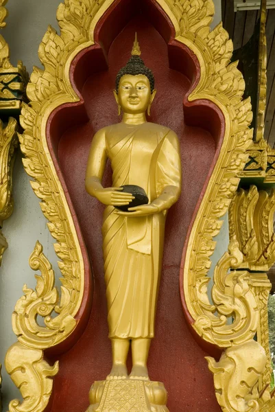 Zlatý stojící socha Buddhy. — Stock fotografie