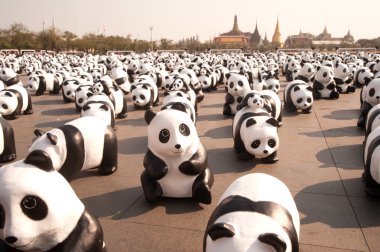 Wwf dev salıncak, Bangkok, pandalar dünya turnesi.