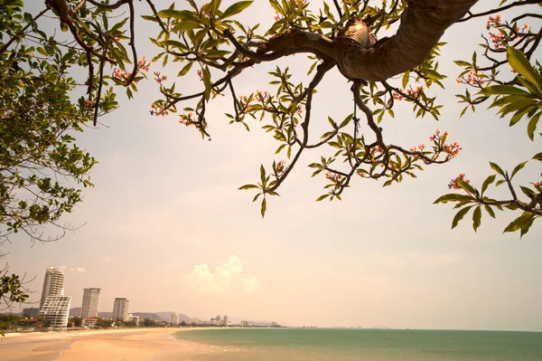 Plage de Hua Hin, Thaïlande . — Photo