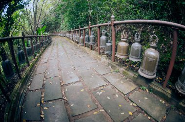 Patika Wat Phra o Doi Tung, Chiang Rai, Tayland için.