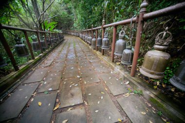 Patika Wat Phra o Doi Tung, Chiang Rai, Tayland için.