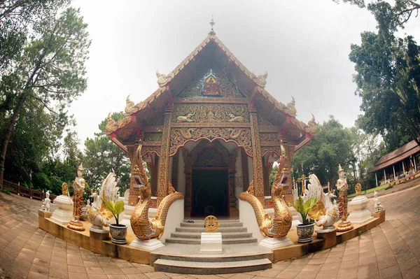 Buddistiska kyrkan av Wat Phra den Doi Tung, Chiang Rai, Thailand. — Stockfoto