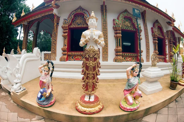 Eglise bouddhiste de Wat Phra That Doi Tung, Chiang Rai, Thaïlande . — Photo