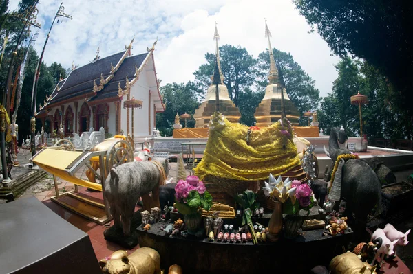 Wat Phra That Doi Tung, Chiang Rai, Tailândia . — Fotografia de Stock