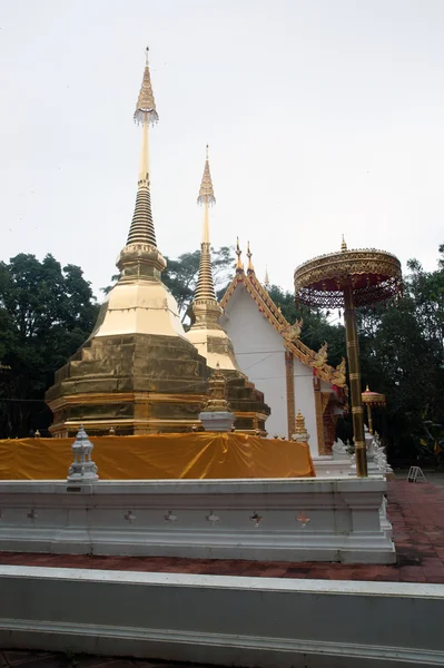 Wat Phra That Doi Tung, Chiang Rai, Thailand . — стоковое фото