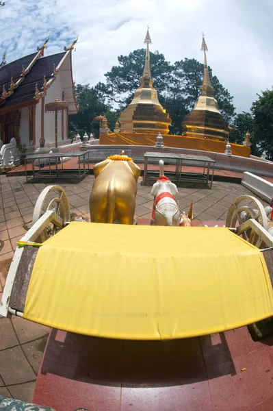 Wat Phra That Doi Tung,Chiang Rai,Thailand. — Stock Photo, Image
