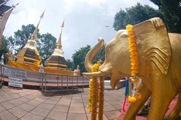 Wat Phra That Doi Tung, Chiang Rai, Tailândia . — Fotografia de Stock