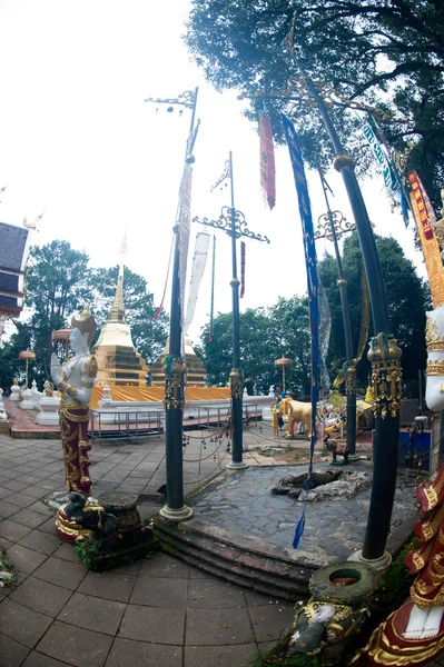 Wat Phra That Doi Tung,Chiang Rai,Thailand. — Stock Photo, Image