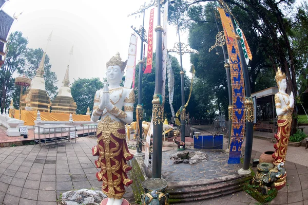 Wat Phra hogy Doi Tung, Chiang Rai, Thaiföld. — Stock Fotó