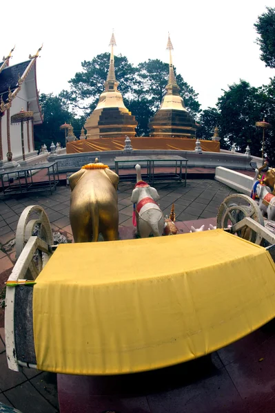 Wat phra that doi tung, chiang rai, thailand. — Stockfoto