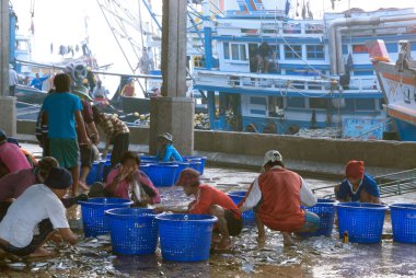 Talaythai deniz ürünleri Pazar, Ticaret Merkezi Balık ve deniz ürünleri üretmek.