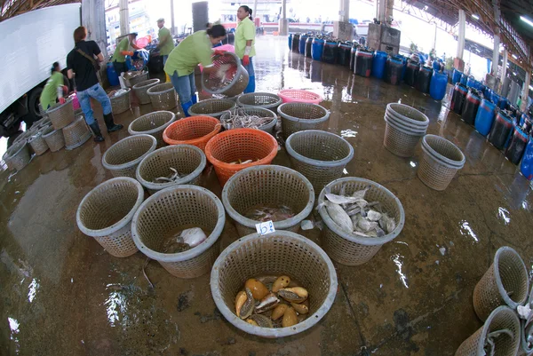 Talaythai fiskmarknaden, Trading center av fisk och skaldjur producera. — Stockfoto