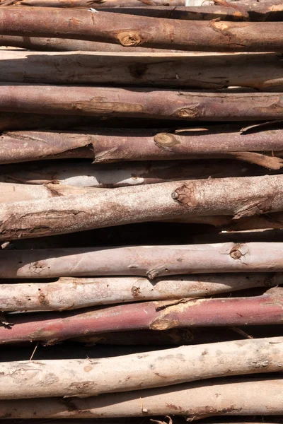 Pile of wood logs Background. — Stock Photo, Image