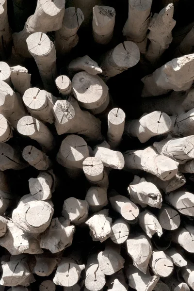 Pile of wood logs Background. — Stock Photo, Image