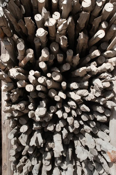 Pile of wood logs Background. — Stock Photo, Image