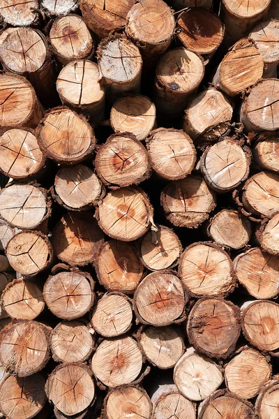 Pile of wood logs Background. — Stock Photo, Image
