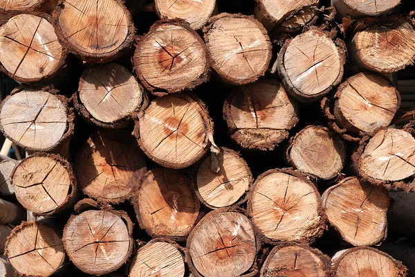 Pile of wood logs Background. — Stock Photo, Image