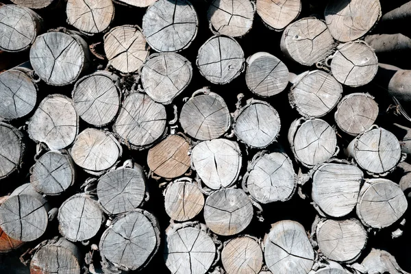 Pile of wood logs Background. — Stock Photo, Image