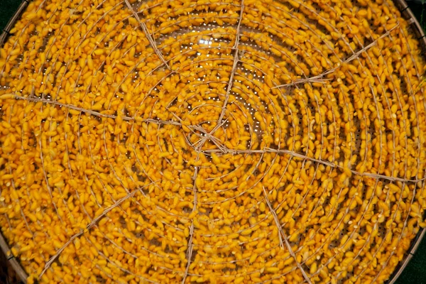 Kokon Jedwabników Bambusowej Tacy Tkackiej Kokony Tajlandzkich Jedwabników Rosnące Tacach — Zdjęcie stockowe
