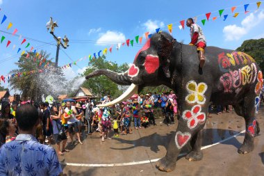 AYUTTHAYA, THAILAND - 14 Nisan 2019 Mahout ve fili neşeyle su sıçratıyor. Tayland 'ın Ayutthaya kentinde Ayutthaya Tarihi Parkı' nda Songkran Festivali 'nde (Su Festivali) genç fil eğlencesi ve mutluluğu.